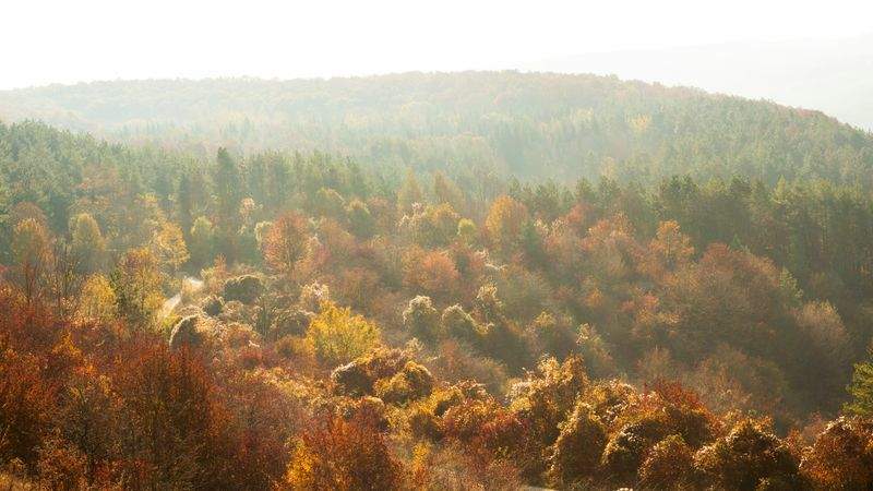 Natura Essenza S.r.l. - Image 11