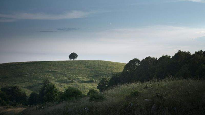 Natura Essenza S.r.l. - Image 3